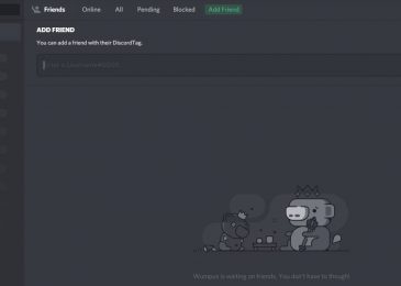 Discord-User-Dashboard- After Login