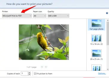 print-single-image-pdf